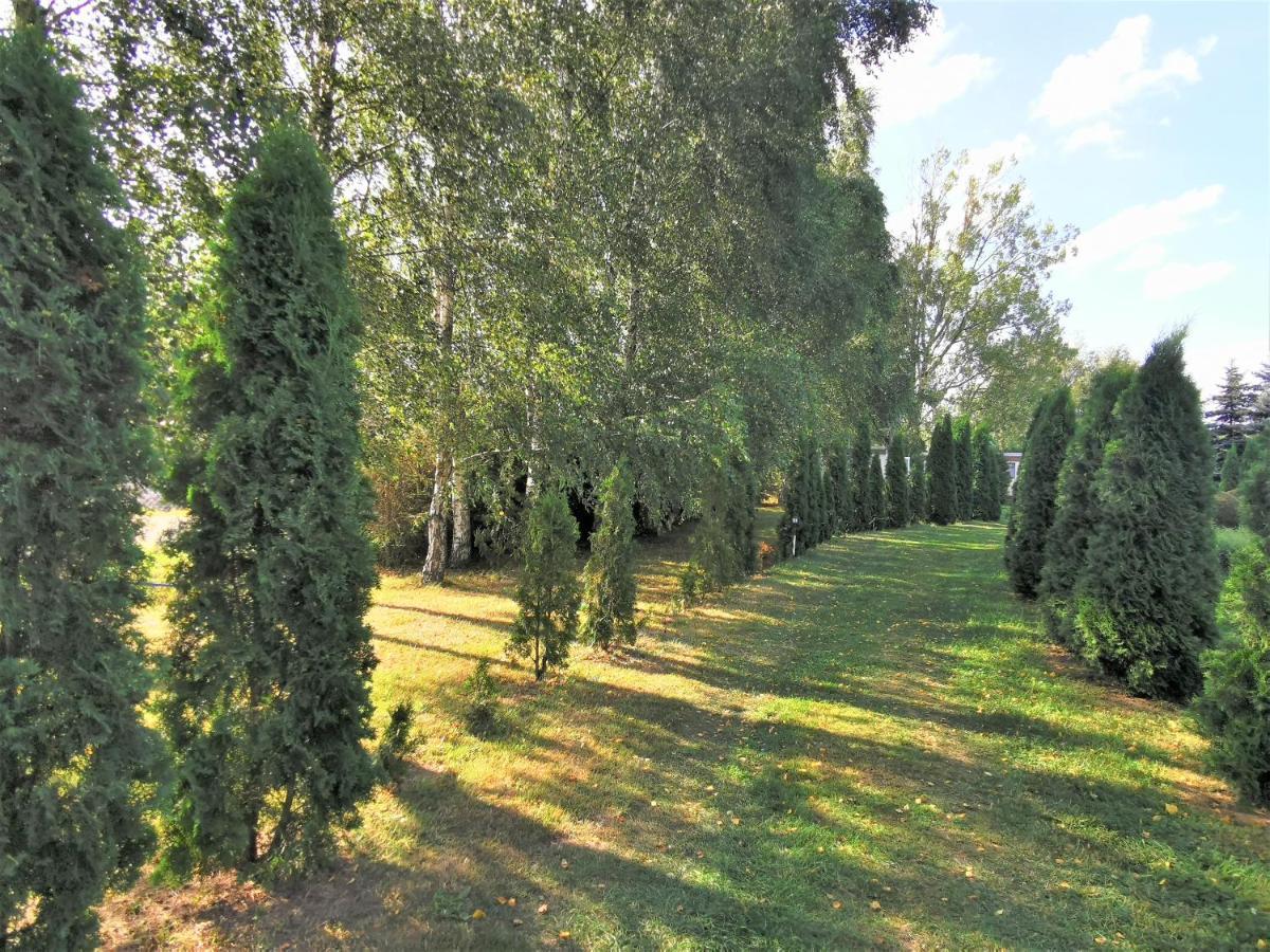 Vila Brzozowe Zacisze Łagów Exteriér fotografie